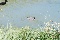 thumbnails/adsc_0010.jpg