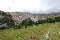 thumbnails/cdsc_0015.jpg