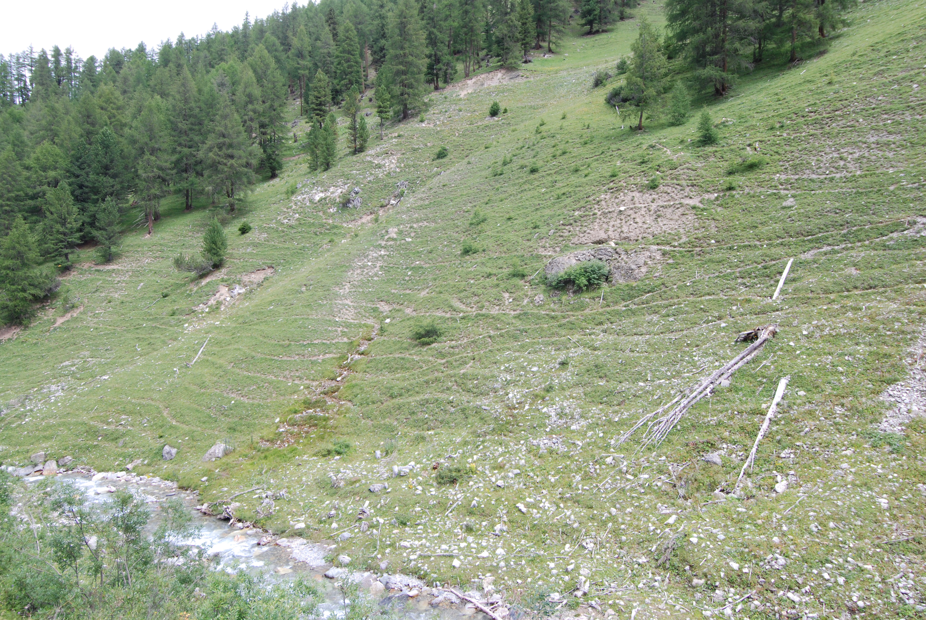 img/dDSC_0067.JPG