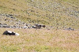 thumbnails/bDSC_0062.JPG
