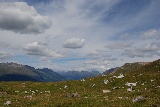 thumbnails/cDSC_0040.JPG