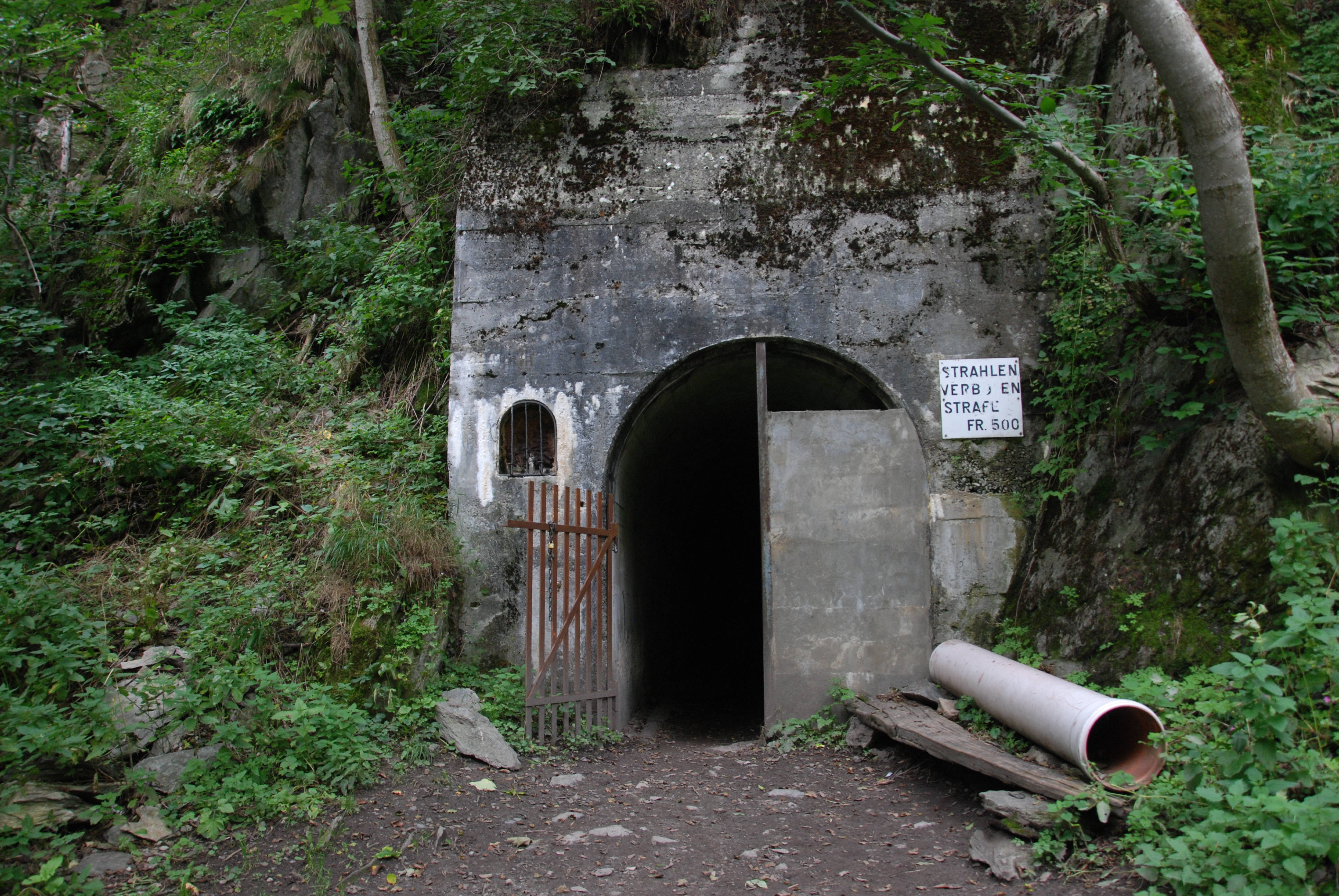 img/DSC_3740.JPG