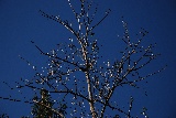 img/thumbnails/DSC_3753.JPG