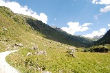 img/thumbnails/DSC_2794u.JPG