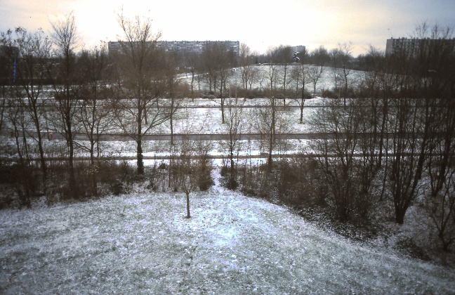 Gagelpark Utrecht winter 1988