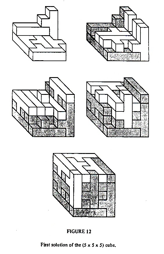 puzzle_files/puzzle-fig12.jpg