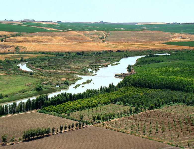781px-Tigris_River_At_Diyarbakir.JPG