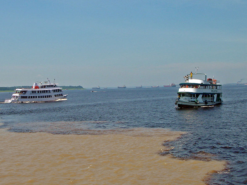 800px-Manaus_Encontro_das_aguas_10_2006_103_8x6.jpg