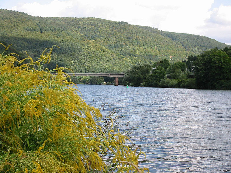 800px-Neckar_near_Heidelberg.jpg