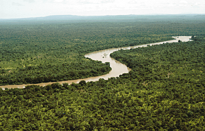 River_gambia_Niokolokoba_National_Park.gif