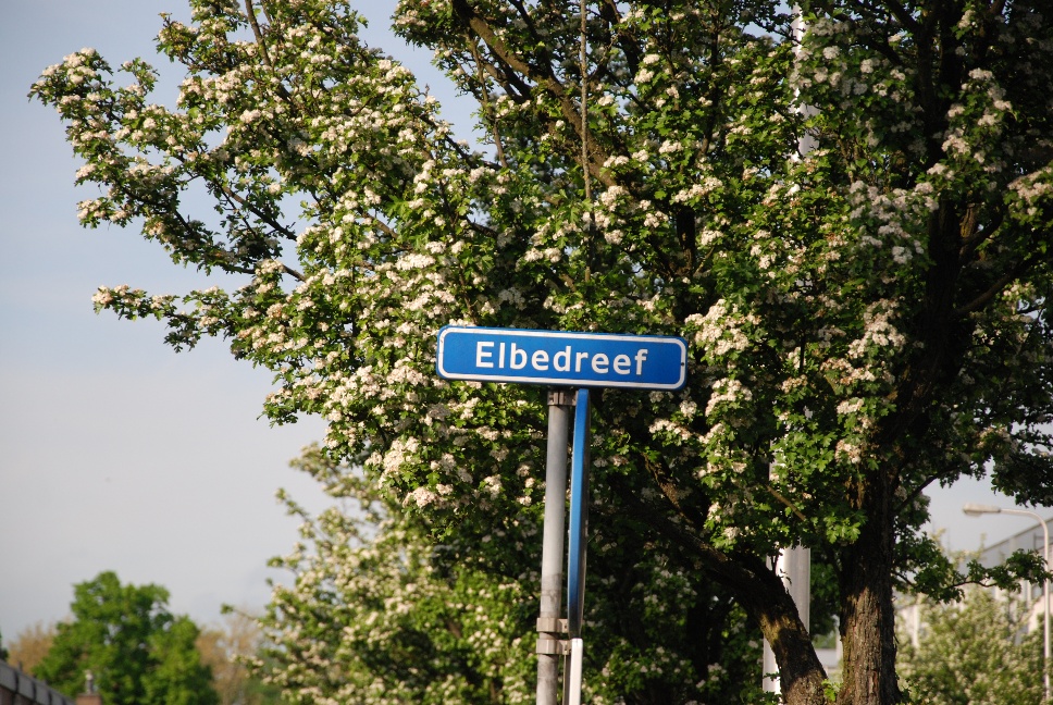 http://www.harmjschoonhoven.com/rivieren-en-dreven/borden/elbe.jpg