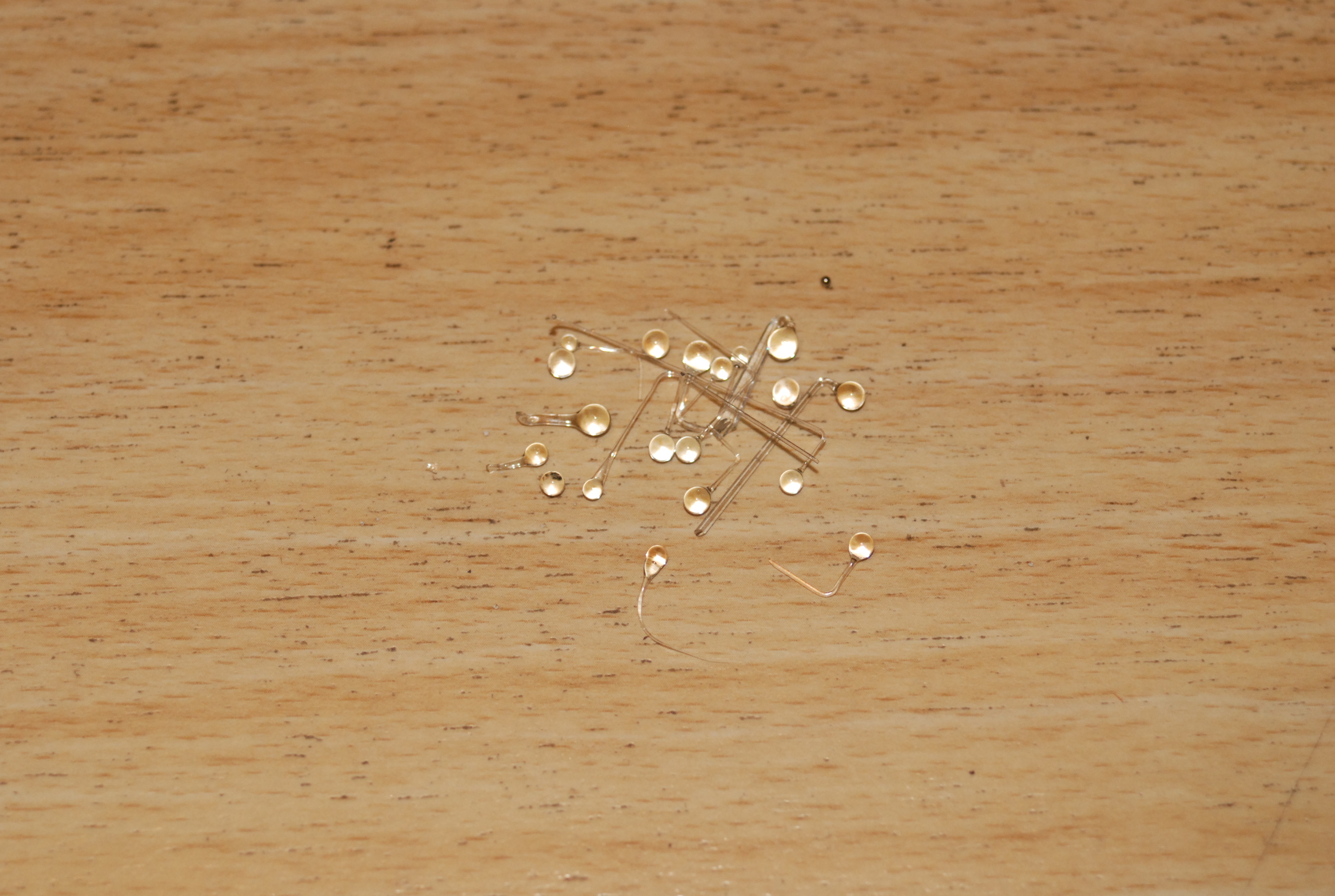 vanleeuwenhoek_files/DSC_0044.JPG